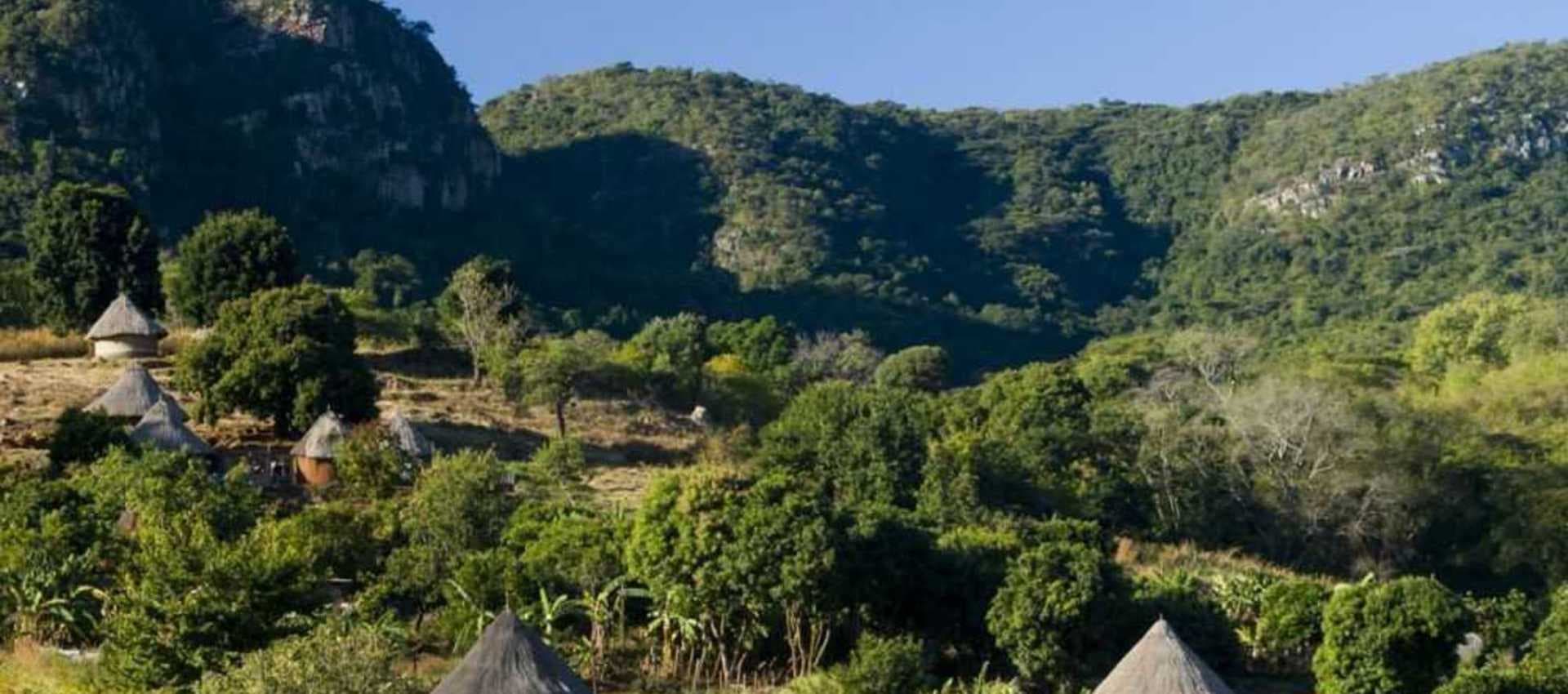 Vodacom appoints new head for Limpopo