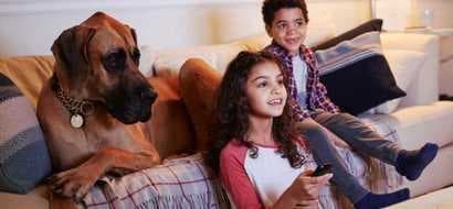 Let us entertain you