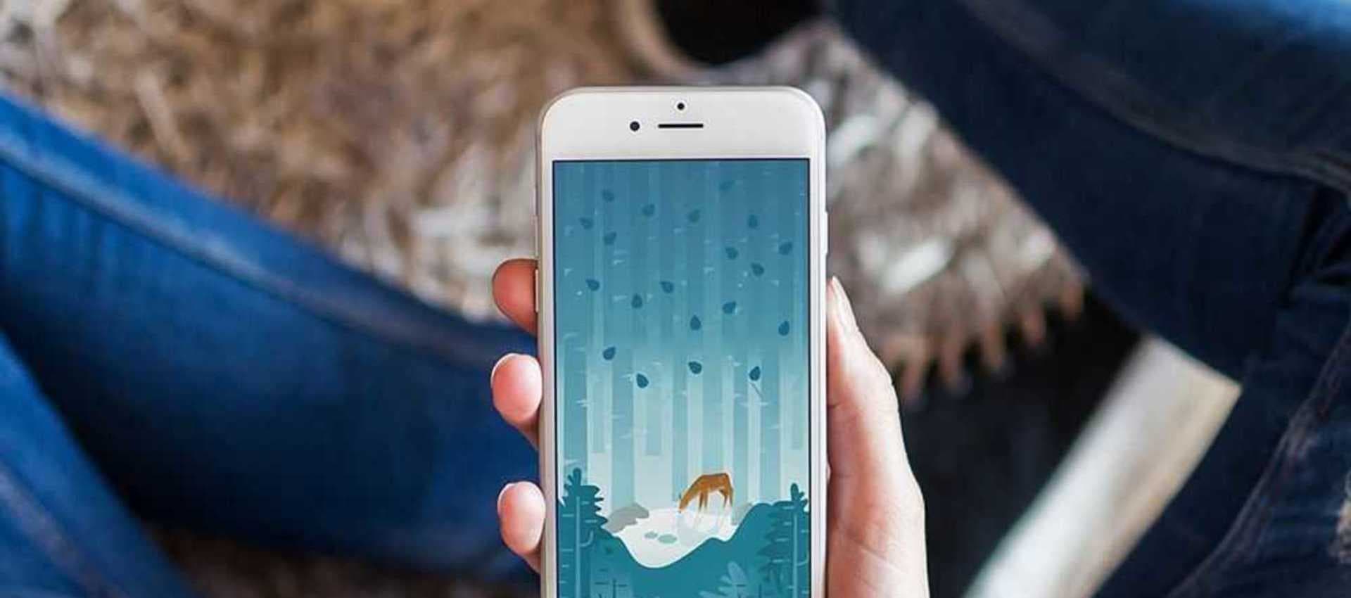 App: Wildfulness II