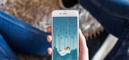 App: Wildfulness II