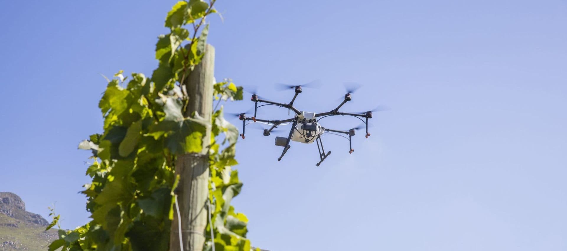 The future of agriculture 