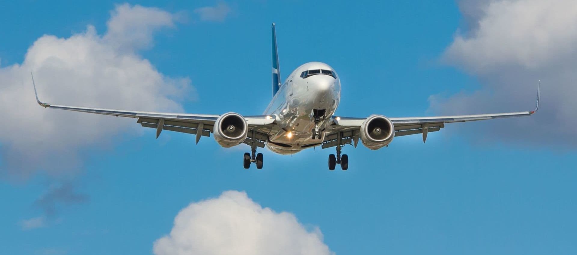 The story of flight