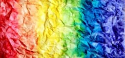 International Day against Homophobia, Transphobia & Biphobia (IDAHOT)