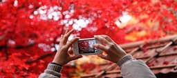 Top smartphone cameras for 2016