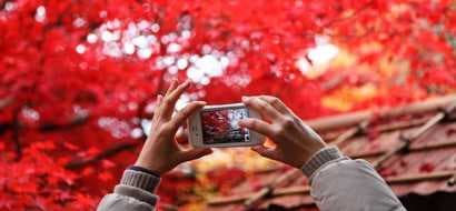 Top smartphone cameras for 2016