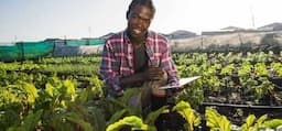 Vodacom's new tech for local farmers