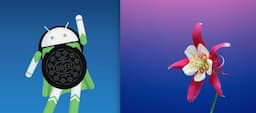 Android Oreo and iOS 11: What's new?