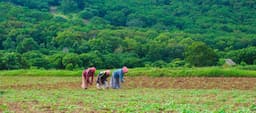 Building digital societies for female farmers