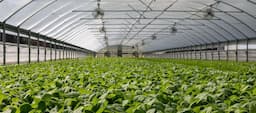 Agriculture Tech: Smart farm sustainability 