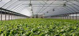 Agriculture Tech: Smart farm sustainability 