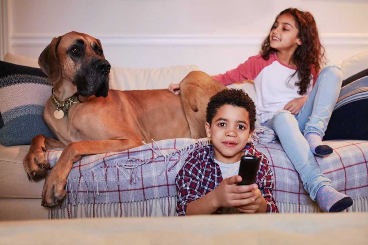 How to subscribe to ShowMax with Vodacom