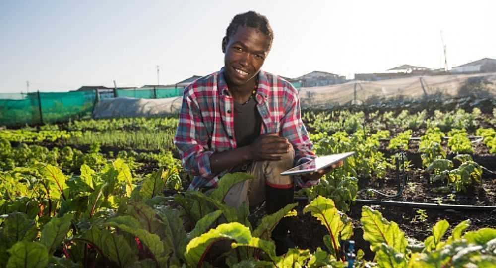 Connecting farmers for a better future