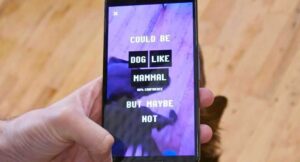 Exploring AI experiments