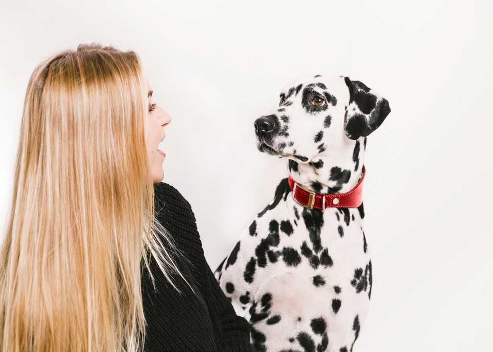 Year of the (tech-savvy) Dog