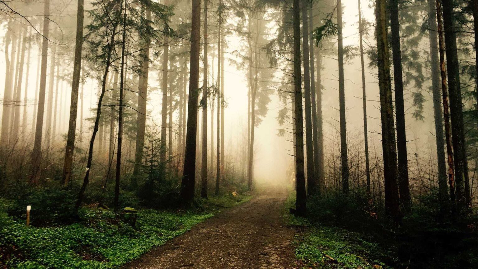 #Connect2Earth for Earth Hour