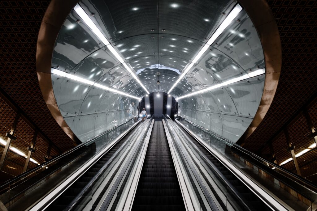 What is your future job?