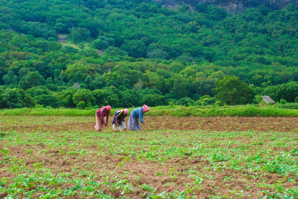 Building digital societies for female farmers