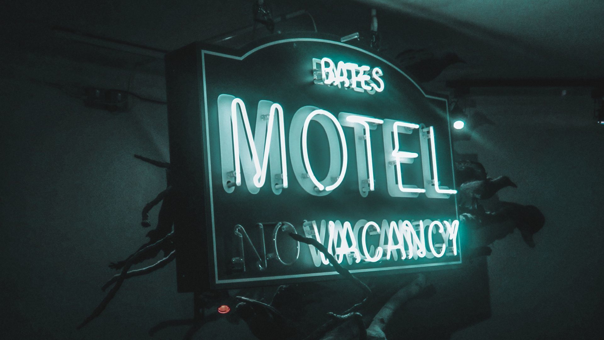 Quiz: Would you survive in a classic horror movie?