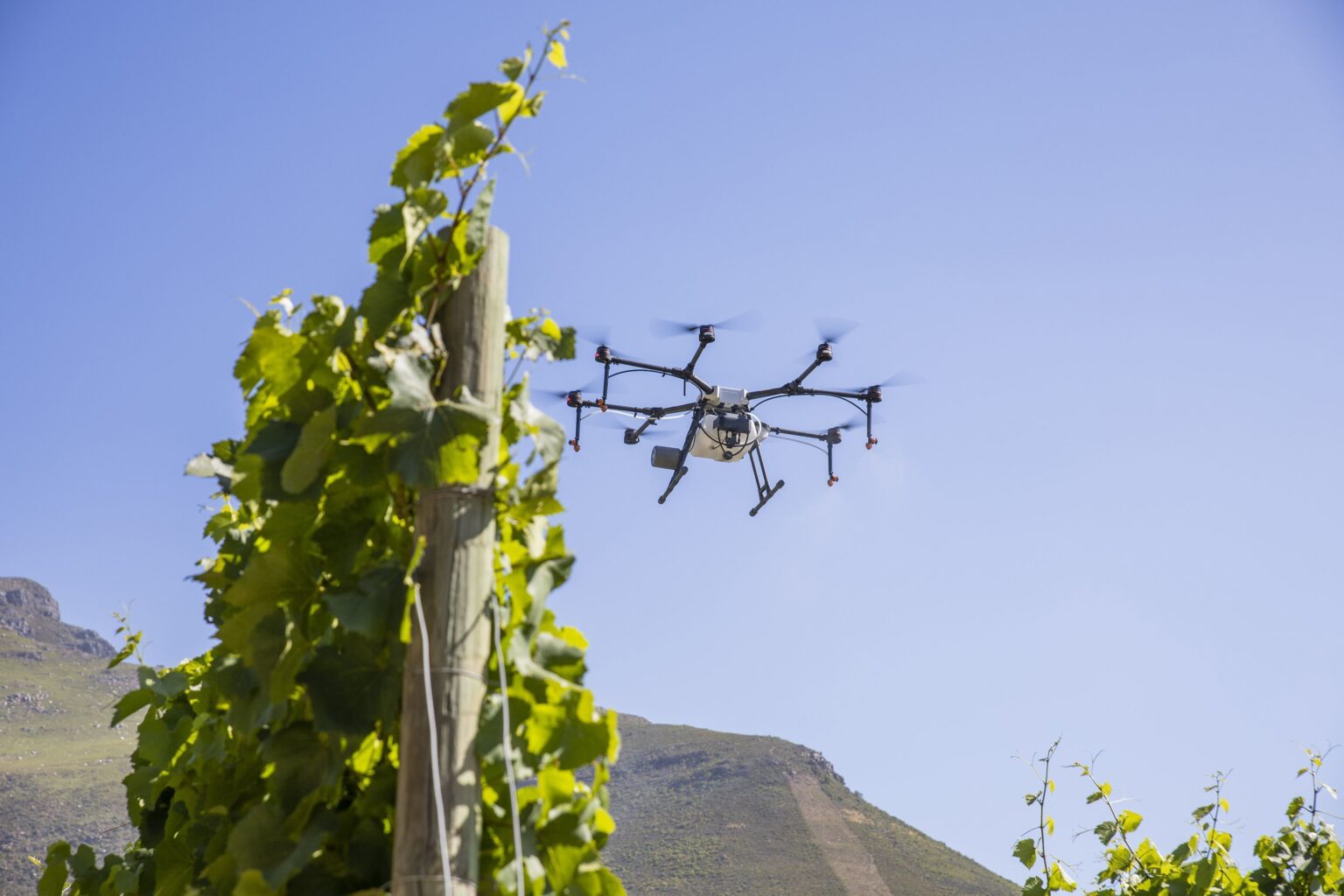 The future of agriculture