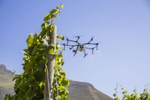 The future of agriculture