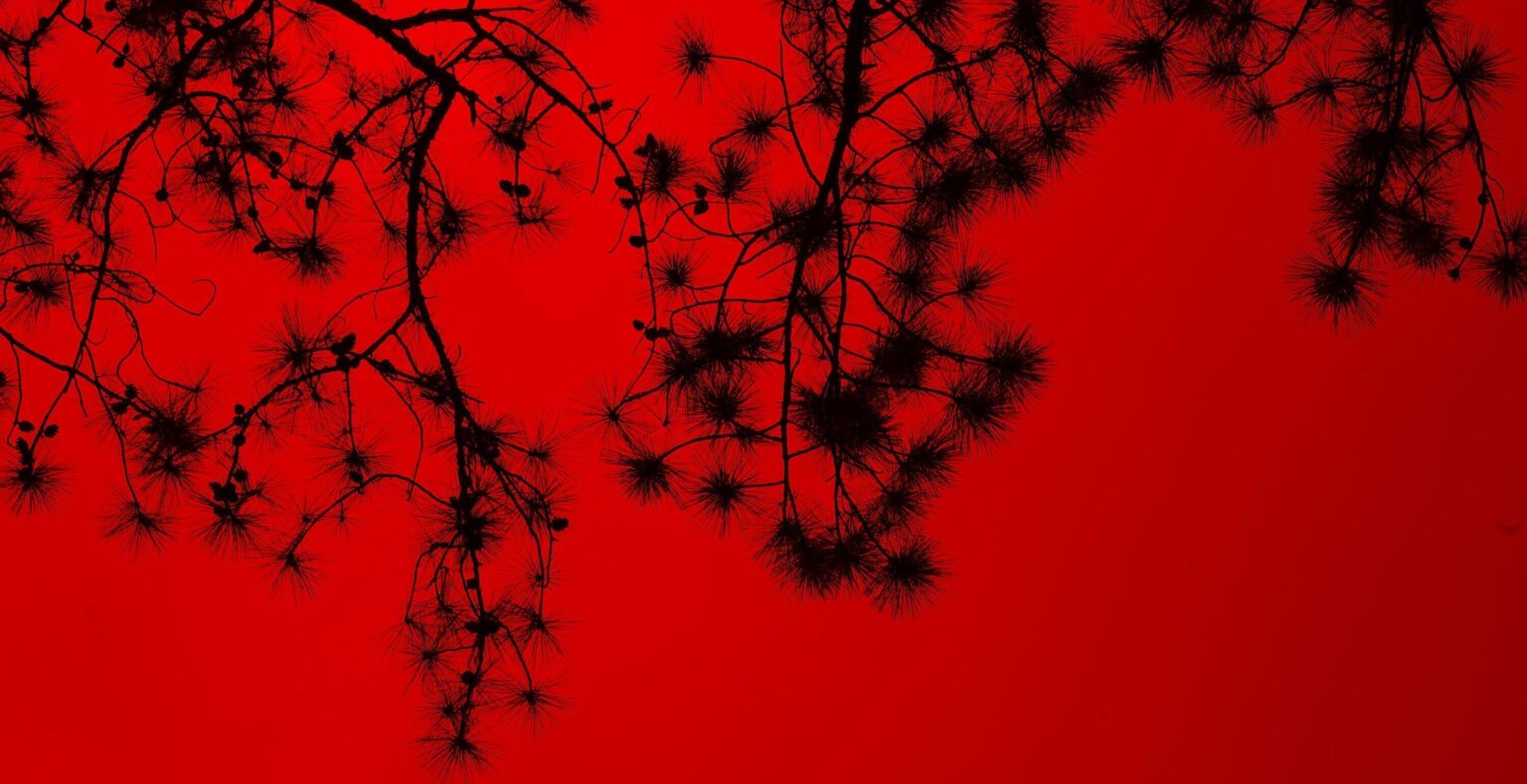 Interview: Karen Smit