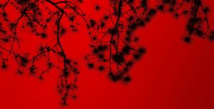 Interview: Karen Smit