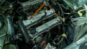 The sporty and responsive Kentucky Rounder for Amakhosi