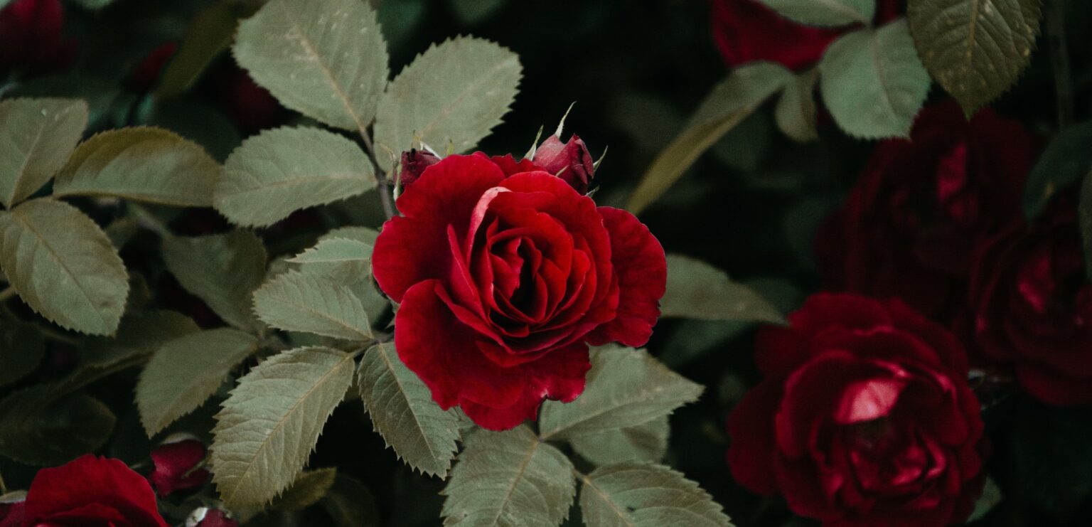 Interview: Ilze Fourie on working with a disability