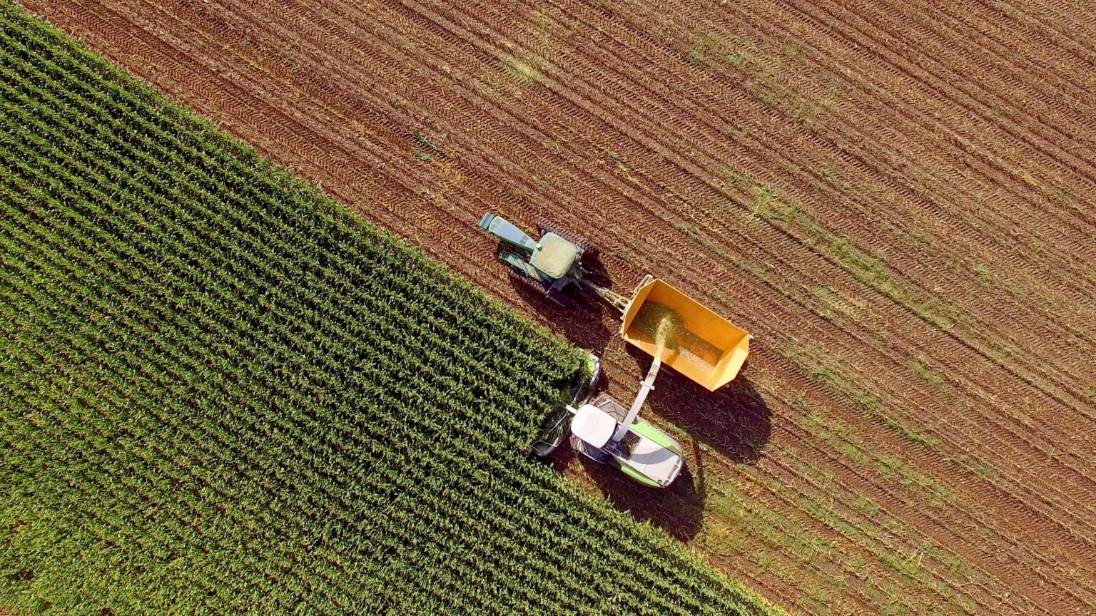 Narrowband IoT: The tech to change your business