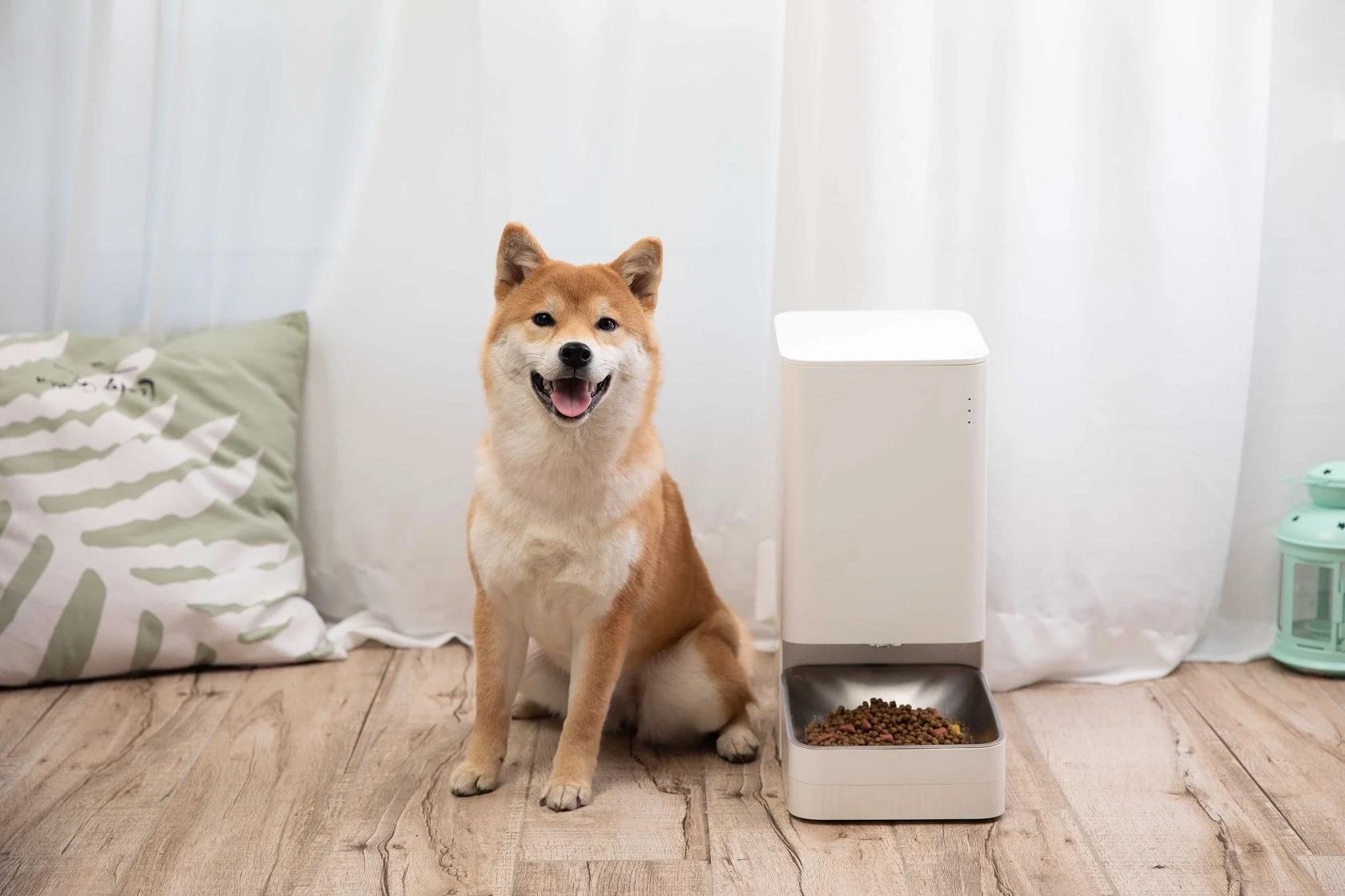 The Xiaomi Smart Pet Food Feeder review