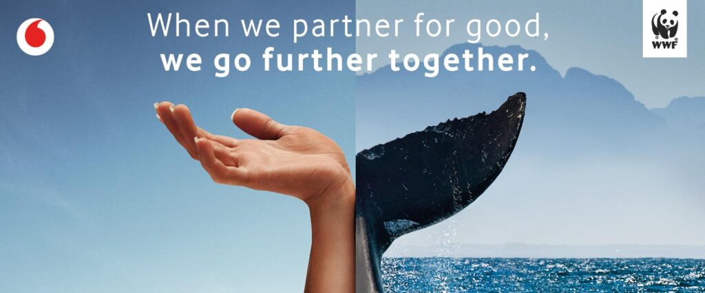 Vodacom's commitment to ocean conservation