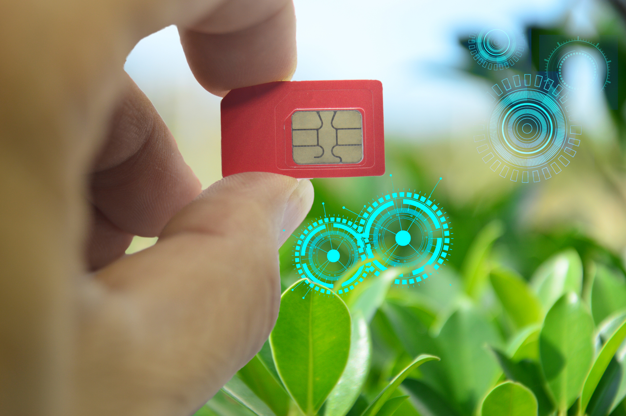 Your SIM Card Could Save The Planet