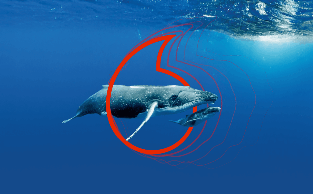 Extraordinary Is Protecting Whales and Building Sustainable Oceans with Real-Time Data