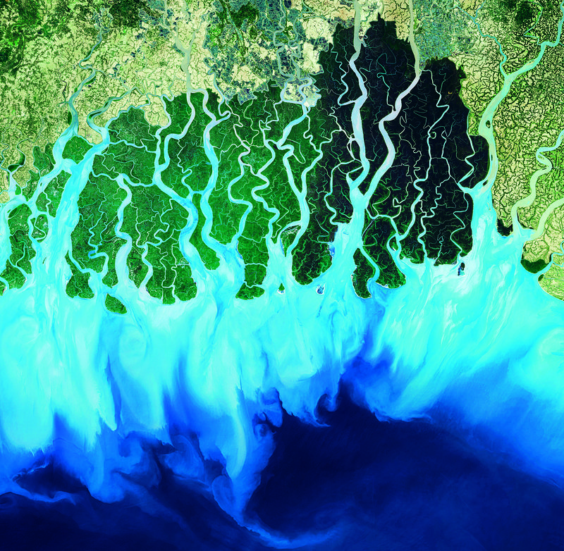 Watch Earth from Space