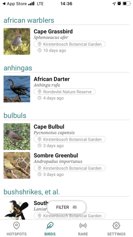 Download GoBird on the Apple App Store
