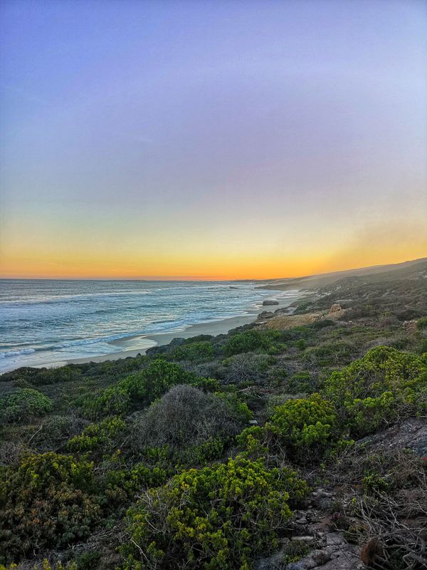 Follow Lynette Botha on Instagram