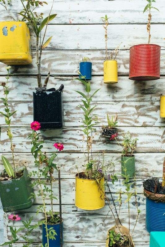 Reuse materials like tins by turning them into pot plants