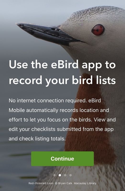 Download eBird on the Google Play Store