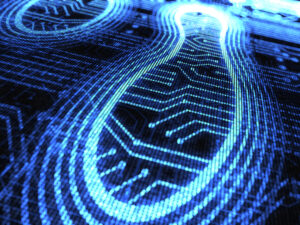 SME digital presence